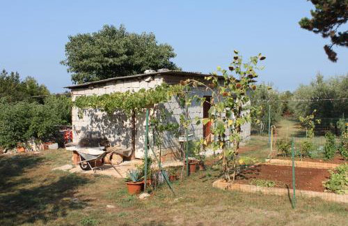 Apartments with parking space Umag - 6995 - Foto 13