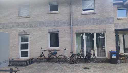 Zwei Buchen - Foto 2