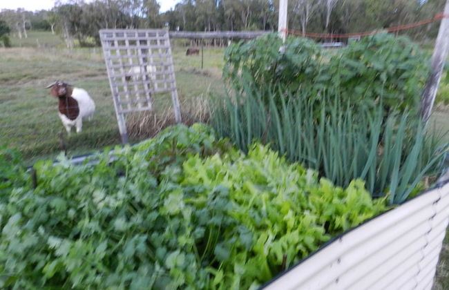 Hay Point Country B&B - Foto 11