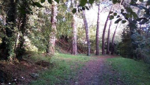 Maison Chêne Liège - Foto 3