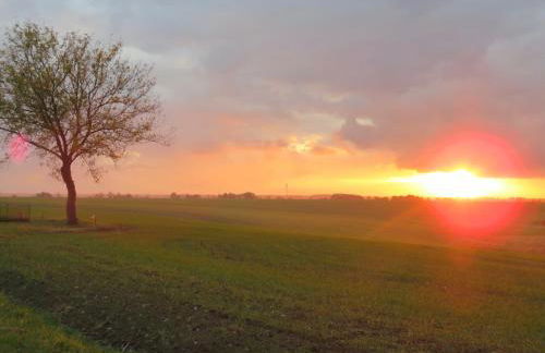 Landhaus Maltzien auf Rügen - Foto 66