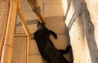 Old Villas Greco 1888 luxury swimming pool - Foto 14