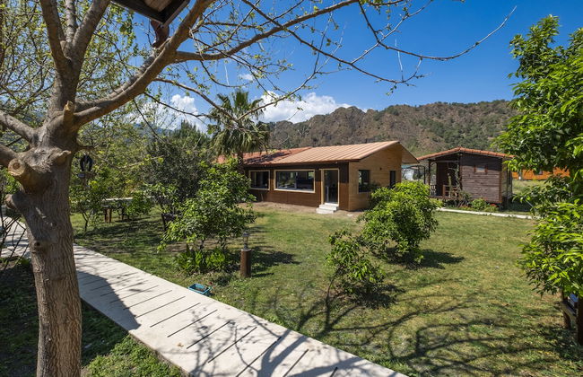 La Maison Hotel Çıralı - Foto 62