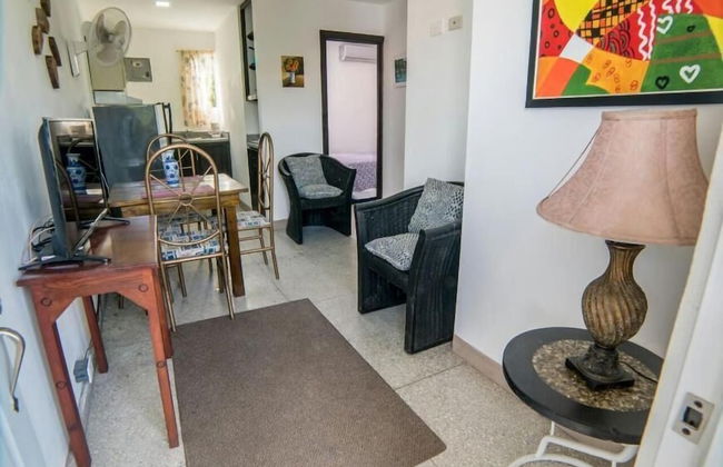 Apartamentos Magallanes Romana - Foto 27