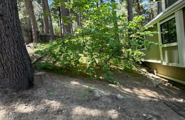 Woodsy Chic Family-Friendly Spacious Getaway - Foto 12