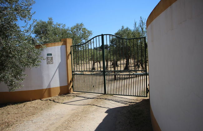 Casa das Moles - Foto 1