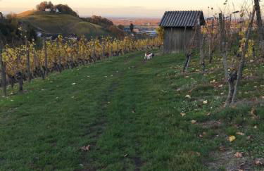 Ferienwohnung Hesselbach - Foto 26