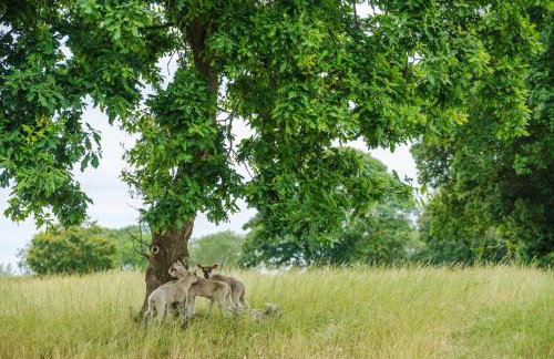 Alde Bay Farm - Oyster Catcher - Foto 39