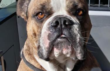 Ferienwohnung-Wieber - Foto 22