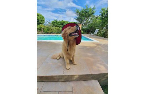 Piscina Aquecida, Jacuzzi, internet veloz, no centro de Serra Grande - Apt Laranja - Vila Pitangueira - Photo 18