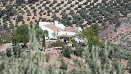 Cortijo La Pedriza - Foto 4