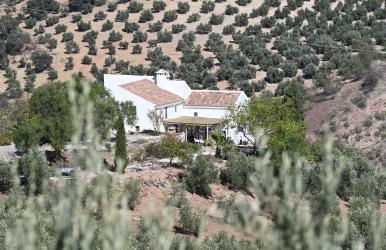 Cortijo La Pedriza - Foto 4