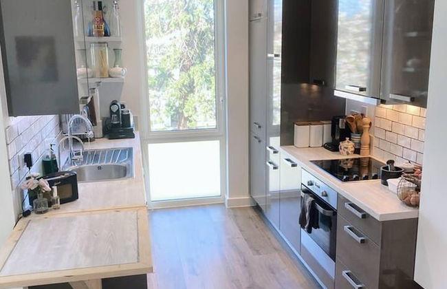 Immaculate 1-bed Apartment in London - Foto 7