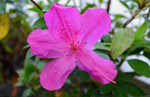 Residencial Portinari LTDA - Foto 69