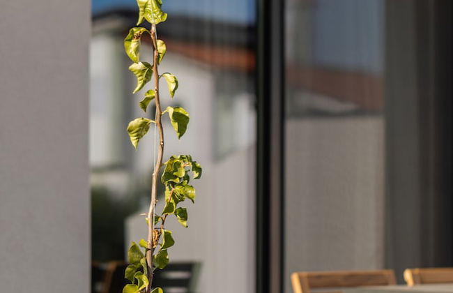 The 8 Suites - Foto 42