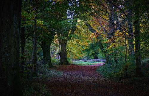 Relax with the whole family at the cosy cottage - Business rates available please enquire - Foto 16