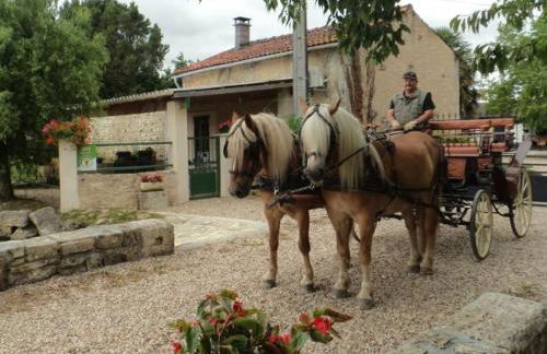 Maison Charentaise avec Cheminée, Jardin et Animaux acceptés - FR-1-653-221 - Foto 29