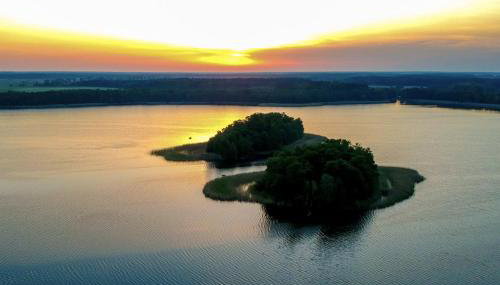 Ackermannia - Foto 2