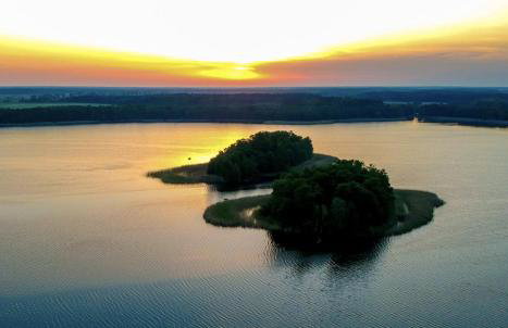 Ackermannia - Foto 2