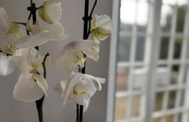 Ponte Milvio Suite & Parking- La Chambre de Sophie - Foto 19