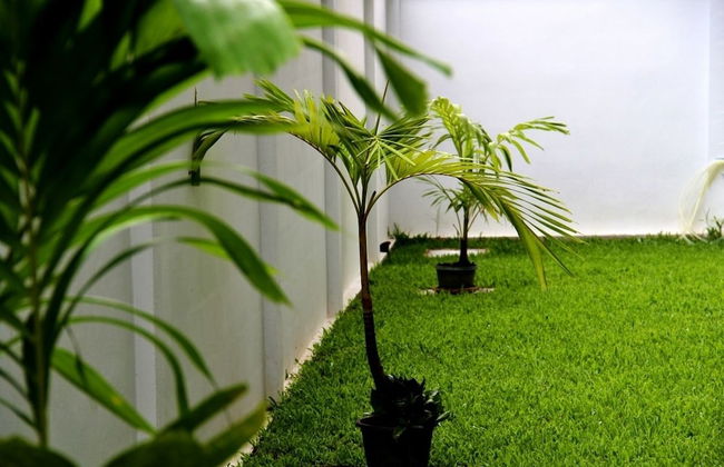 The Meet Green Apartment - Photo 38