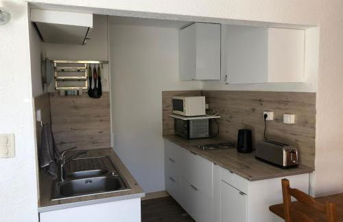 Pra-Loup 1500 Appartement spacieux et lumineux - Foto 6