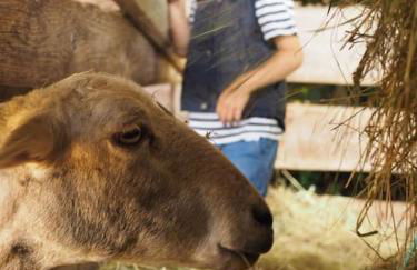 Wunderschöne 3-Zimmerwohnung auf dem Bauernhof - Foto 10