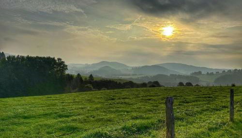 TinyHouse mit Terrasse und Garten - Foto 5