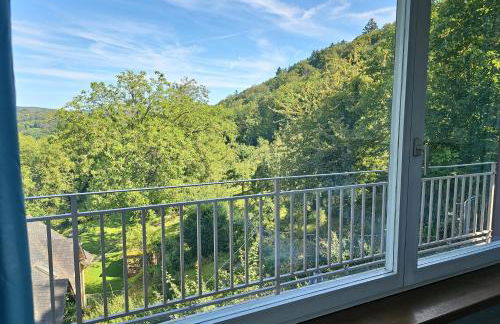 Little Rhine View Château - EG Apartment - Foto 44