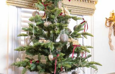 Quaint 18th Century Cottage in Lymington - Foto 52