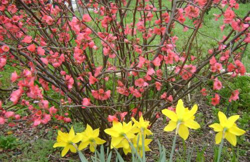 Tapada da Beirã - Foto 38