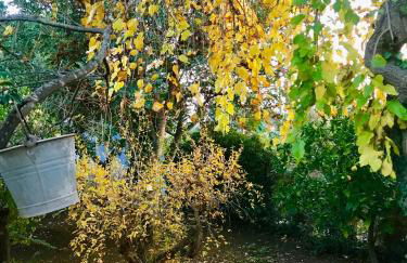 Villa Sara di Puglia - Foto 67