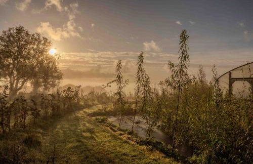 2 Bed Rural Escape between Coast & Mountains at Mud & Wool - Foto 16