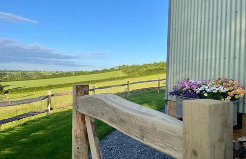 Luxury Shepherd Hut on small South Hams farm, Devon - Foto 16