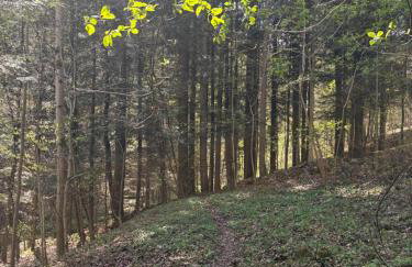 Dom w górach Zacisze lasu z prywatną balią - Foto 36