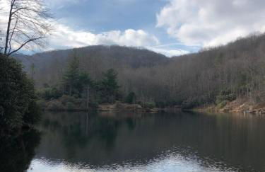 Beech Mountain Swiss-style Chalet - Foto 39