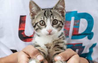 Loefflerhof - Photo 18