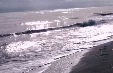 HAUT VILLA MESANGES EN BORD DE MER ! - Foto 73