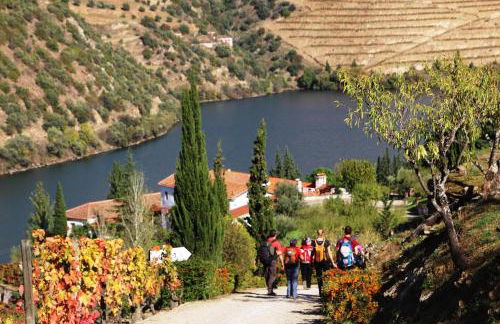 Douro Yacht Charter & Bungalows - Foto 38
