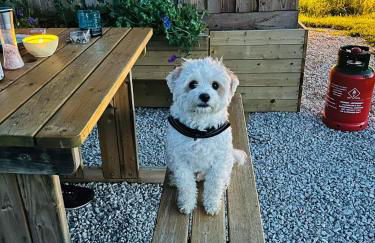 Luxury Shepherd Hut in the Peak District - Foto 46