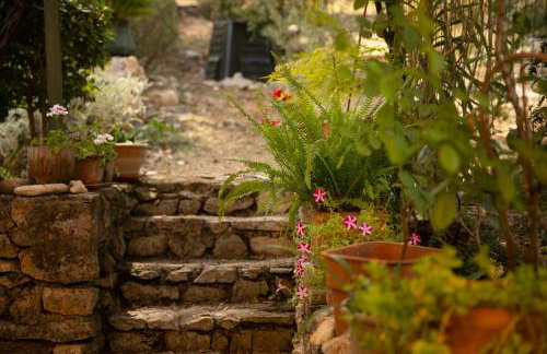 Apartman Silna your new home with terrace and garden - Foto 30