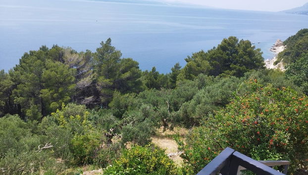 Mare - 150 m From Beach - SA1 - Foto 3, Vistas desde la habitación