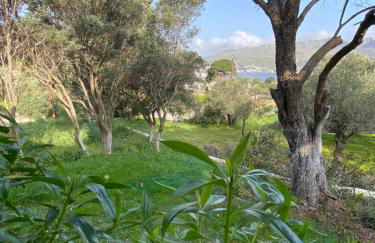 The Velanidies - Οι Βελανιδιές - Foto 36