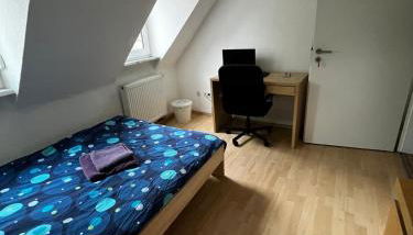 Zentrales Apartment in Würzburg-Heidingsfeld - Foto 3