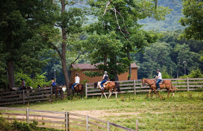 The Summit at Massanutten Resort by Tripforth - Foto 26