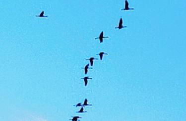 Müritzblick am Wünnow - Foto 62