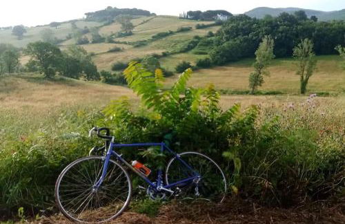 Casa Rosa Marina di Cecina - Foto 22