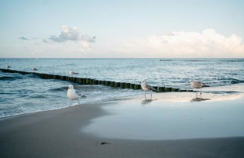 Kamphof Usedom Ferienanlage - Foto 4