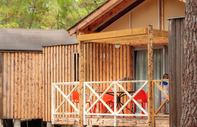 Les Oyats Sylvadoures - Foto 30