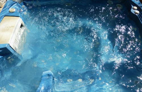 Chalet Le Bordarriben sauna & spa - Foto 3